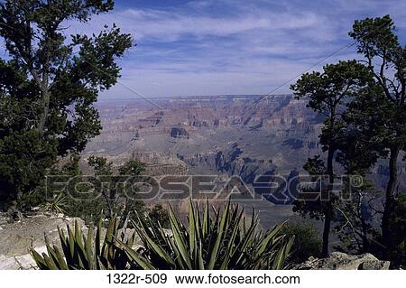 Grand Canyon National Park, Arizona, USA View Large Photo Image Stock Photo - Grand Canyon National Park, Arizona, USA. Fotosearch