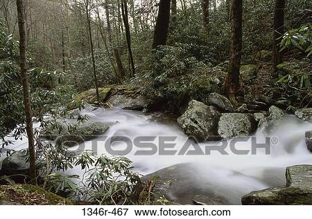 Great Smoky Mountains, Tennessee, USA View Large Photo Image Stock Photo - Great Smoky Mountains, Tennessee, USA. Fotosearch