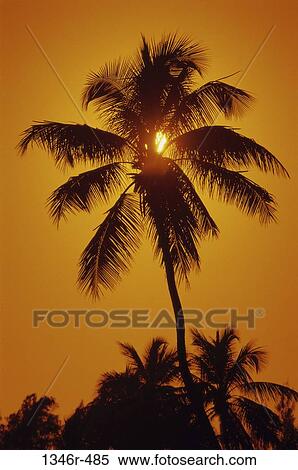 Key West, Florida, USA View Large Photo Image Stock Photography - Key West, Florida, USA. Fotosearch