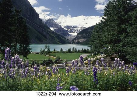 Lake Louise, Banff National Park, Canada View Large Photo Image Picture - Lake Louise, Banff National Park, Canada. Fotosearch