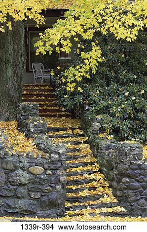 leaves, steps, stairs, exterior, autumn, stairway, falling View Large Photo Image Picture - leaves, steps, stairs, exterior, autumn, stairway, falling. Fotosearch