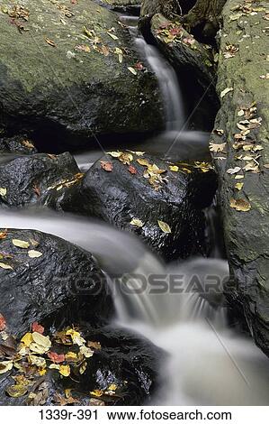 leaves, water, autumn, stream, motion, nature, rocks View Large Photo Image Stock Image - leaves, water, autumn, stream, motion, nature, rocks. Fotosearch
