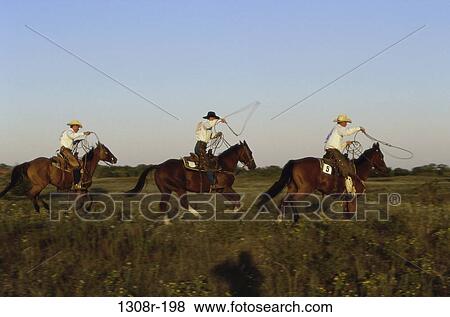 men, people, rope, riding, outdoors, horses, ride View Large Photo Image Stock Photo - men, people, rope, riding, outdoors, horses, ride. Fotosearch