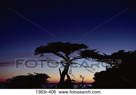 Monterey, California, USA View Large Photo Image Stock Photograph - Monterey, California, USA. Fotosearch