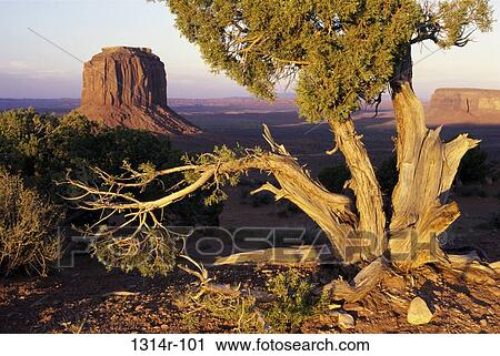 Stock Image - Monument Valley, Arizona, USA. Fotosearch