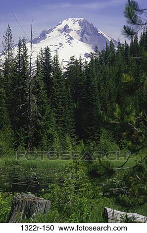 Mount Hood, Oregon USA View Large Photo Image Stock Image - Mount Hood, Oregon USA. Fotosearch