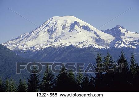 Mount Rainier National Park, Washington, USA View Large Photo Image Stock Photo - Mount Rainier National Park, Washington, USA. Fotosearch