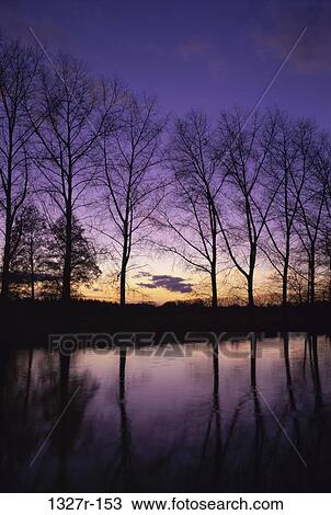 peace, water, morning, dusk, evening, sunset, lake View Large Photo Image Stock Image - peace, water, morning, dusk, evening, sunset, lake. Fotosearch