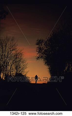 people, evening, bicycle, riding, trees, sports, cycling View Large Photo Image Stock Photography - people, evening, bicycle, riding, trees, sports, cycling. Fotosearch