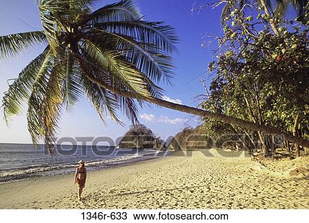 people, relaxation, woman, palm, walking, tropical View Large Photo Image Stock Image - people, relaxation, woman, palm, walking, tropical. Fotosearch