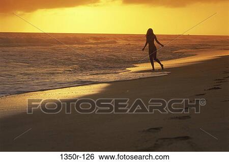 people, woman, beach, silhouette, moods, young adult View Large Photo Image Stock Photograph - people, woman, beach, silhouette, moods, young adult. Fotosearch