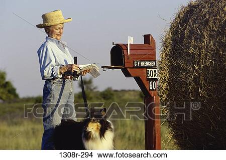people, woman, mailbox, dog, collie, senior View Large Photo Image Picture - people, woman, mailbox, dog, collie, senior. Fotosearch
