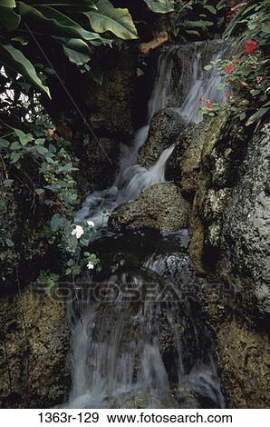 plants, nature, rocks, waterfall, Waterfalls nature View Large Photo Image Stock Photo - plants, nature, rocks, waterfall, Waterfalls nature. Fotosearch