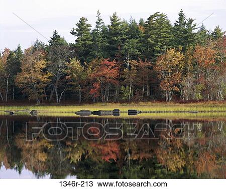 Ponhook Lake, Nova Scotia, Canada View Large Photo Image Stock Image - Ponhook Lake, Nova Scotia, Canada. Fotosearch