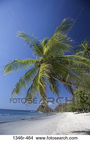 Punta Leona, Costa Rica View Large Photo Image Picture - Punta Leona, Costa Rica. Fotosearch