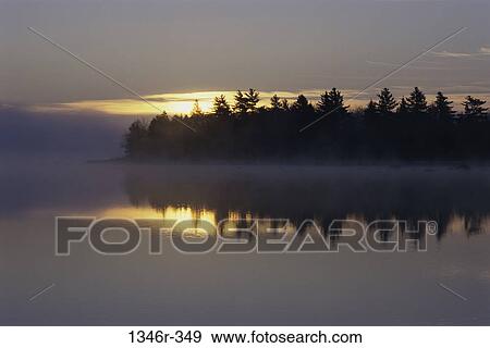 reflection, water, morning, trees, nature, forest View Large Photo Image Stock Photo - reflection, water, morning, trees, nature, forest. Fotosearch