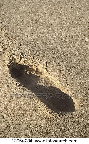 sand, beach, print, still life, footprint, Beach stills View Large Photo Image Picture - sand, beach, print, still life, footprint, Beach stills. Fotosearch