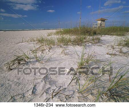 Sarasota, Florida, USA View Large Photo Image Picture - Sarasota, Florida, USA. Fotosearch