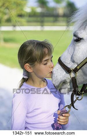 Shetland Pony View Large Photo Image Stock Image - Shetland Pony. Fotosearch