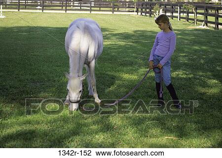 Shetland Pony View Large Photo Image Stock Image - Shetland Pony. Fotosearch