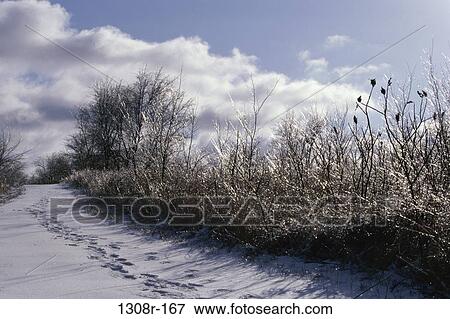 sky, clouds, road, winter, nature, path, bushes View Large Photo Image Stock Photo - sky, clouds, road, winter, nature, path, bushes. Fotosearch
