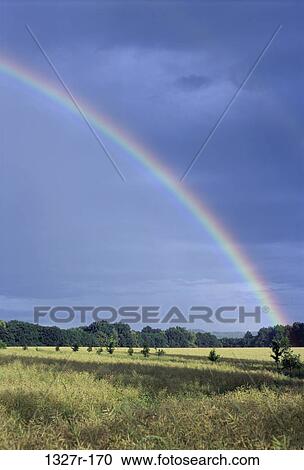 sky, trees, nature, rainbow, Rainbows nature View Large Photo Image Stock Image - sky, trees, nature, rainbow, Rainbows nature. Fotosearch