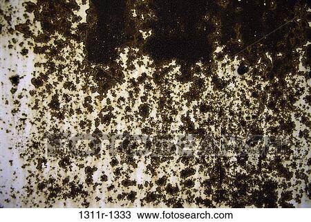 spots, stained, background, old, decay, rust View Large Photo Image Stock Image - spots, stained, background, old, decay, rust. Fotosearch