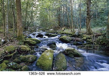 Tennessee, USA View Large Photo Image Stock Photograph - Tennessee, USA. Fotosearch