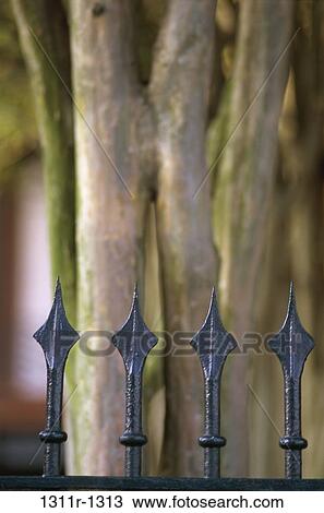 Stock Image - tree, fence, iron, pointed, enclosure, barrier. Fotosearch