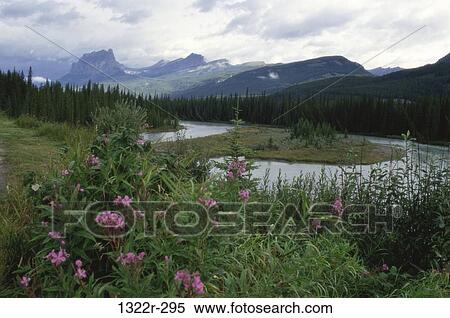 Vermillion Lake, Banff National Park, Canada View Large Photo Image Stock Photography - Vermillion Lake, Banff National Park, Canada. Fotosearch