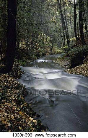 water, autumn, stream, motion, nature, flow, pristine View Large Photo Image Stock Image - water, autumn, stream, motion, nature, flow, pristine. Fotosearch