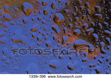water, distorted, dew, nature, droplets, wet View Large Photo Image Stock Photograph - water, distorted, dew, nature, droplets, wet. Fotosearch