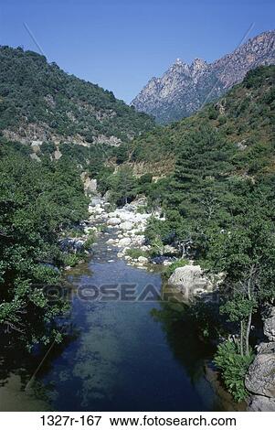 water, stream, mountains, trees, nature, rocks, Lakes nature View Large Photo Image Stock Photo - water, stream, mountains, trees, nature, rocks, Lakes nature. Fotosearch