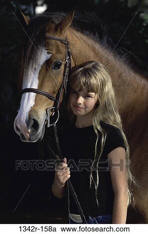 Welsh Pony View Large Photo Image Stock Image - Welsh Pony. Fotosearch