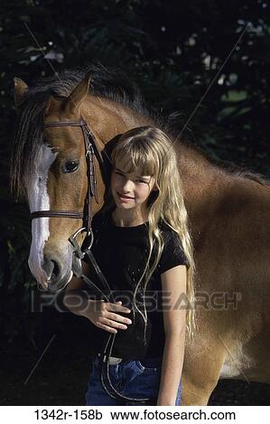 Welsh Pony View Large Photo Image Stock Image - Welsh Pony. Fotosearch