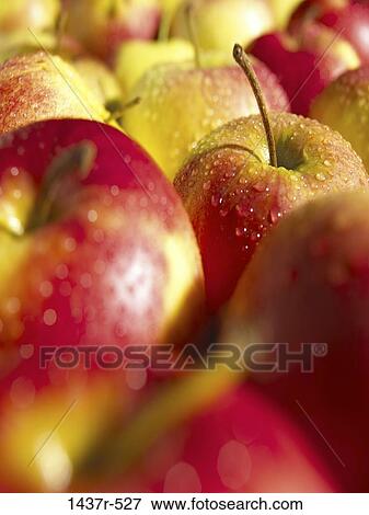 Apples View Large Photo Image Stock Photo - Apples. Fotosearch