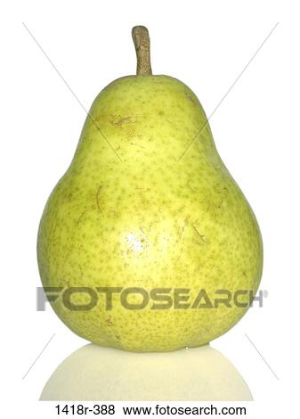 Stock Photo - Bartlett Pear. Fotosearch