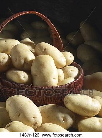 basket, food, still life, vegetable, potatoes, peeled View Large Photo Image Stock Image - basket, food, still life, vegetable, potatoes, peeled. Fotosearch