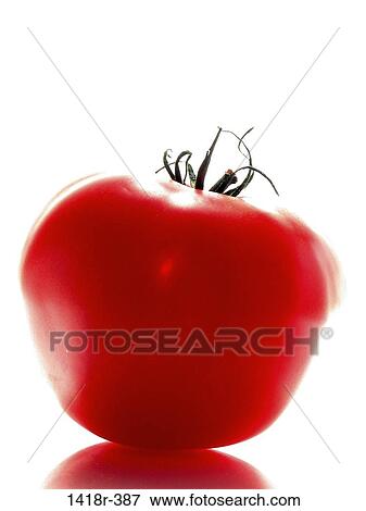 Beefsteak Tomato View Large Photo Image Stock Photo - Beefsteak Tomato. Fotosearch