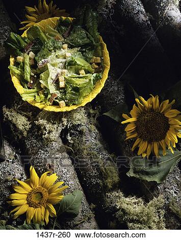 Stock Image - Caesar Salad. Fotosearch