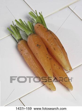 Carrots View Large Photo Image Stock Photo - Carrots. Fotosearch