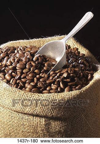 coffee, beans, still life, scoop, sack, drink View Large Photo Image Stock Image - coffee, beans, still life, scoop, sack, drink. Fotosearch