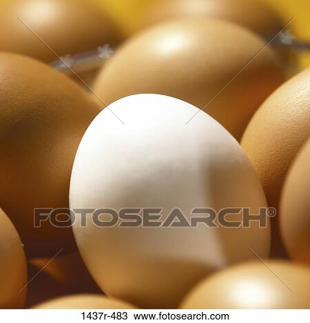 Eggs View Large Photo Image Stock Image - Eggs. Fotosearch