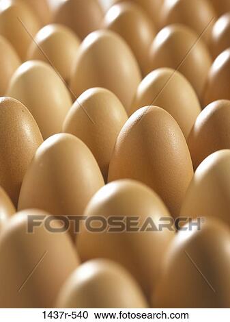 Eggs View Large Photo Image Stock Image - Eggs. Fotosearch