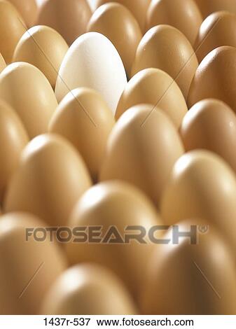 Eggs View Large Photo Image Stock Photo - Eggs. Fotosearch