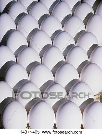 Eggs View Large Photo Image Stock Photography - Eggs. Fotosearch