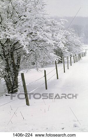 fence, snow, winter, covering, cold, trees, nature View Large Photo Image Picture - fence, snow, winter, covering, cold, trees, nature. Fotosearch