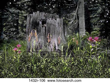 Field, flowers, nature, stump, plant life, Nature fields View Large Photo Image Stock Photograph - Field, flowers, nature, stump, plant life, Nature fields. Fotosearch