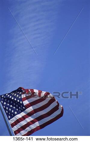 Flag of the United States of America View Large Photo Image Stock Image - Flag of the United States of America. Fotosearch