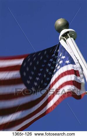 Flag of the United States of America View Large Photo Image Stock Photograph - Flag of the United States of America. Fotosearch